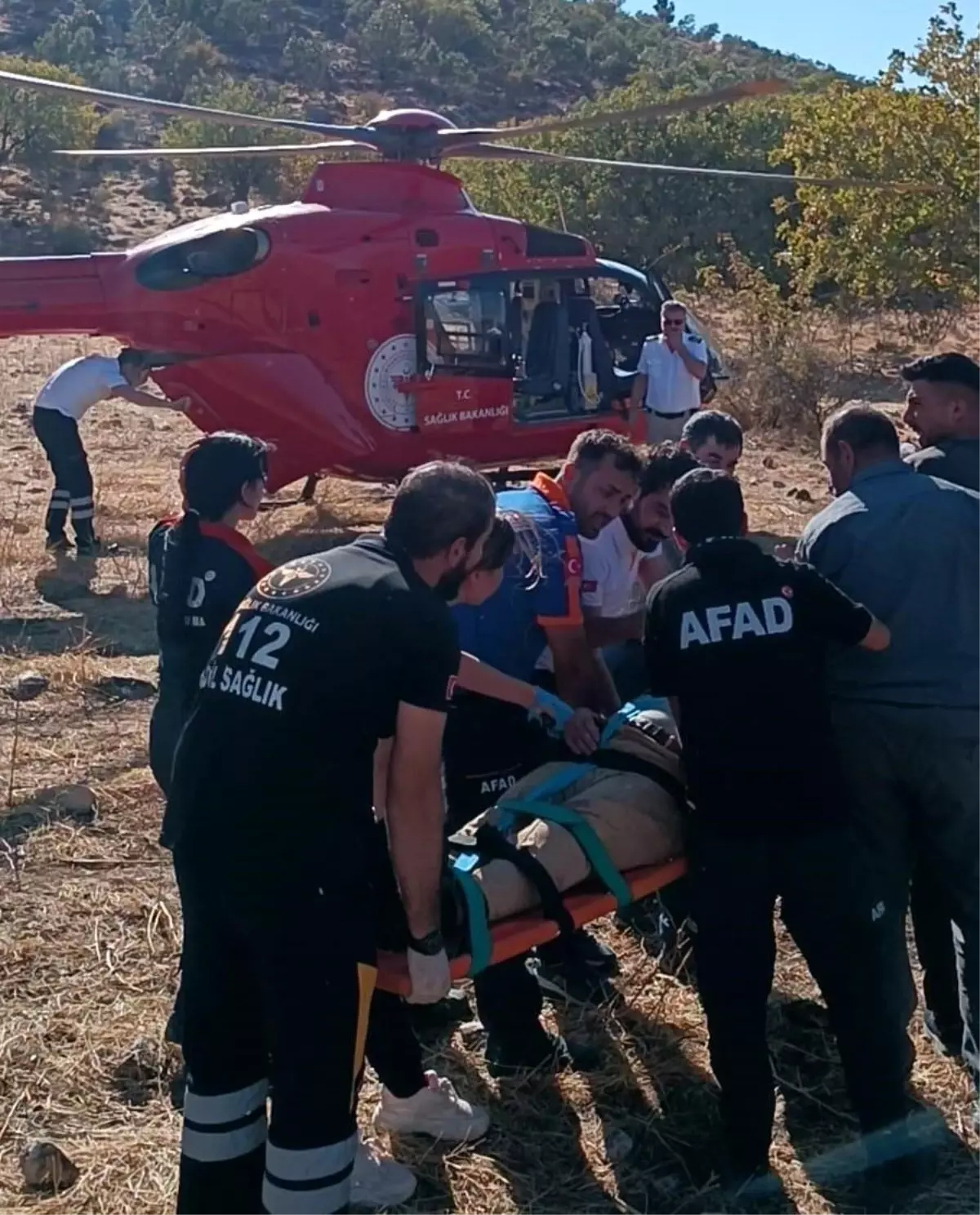 Siirt’te Ağaçtan Düşen Adam Ağır Yaralandı