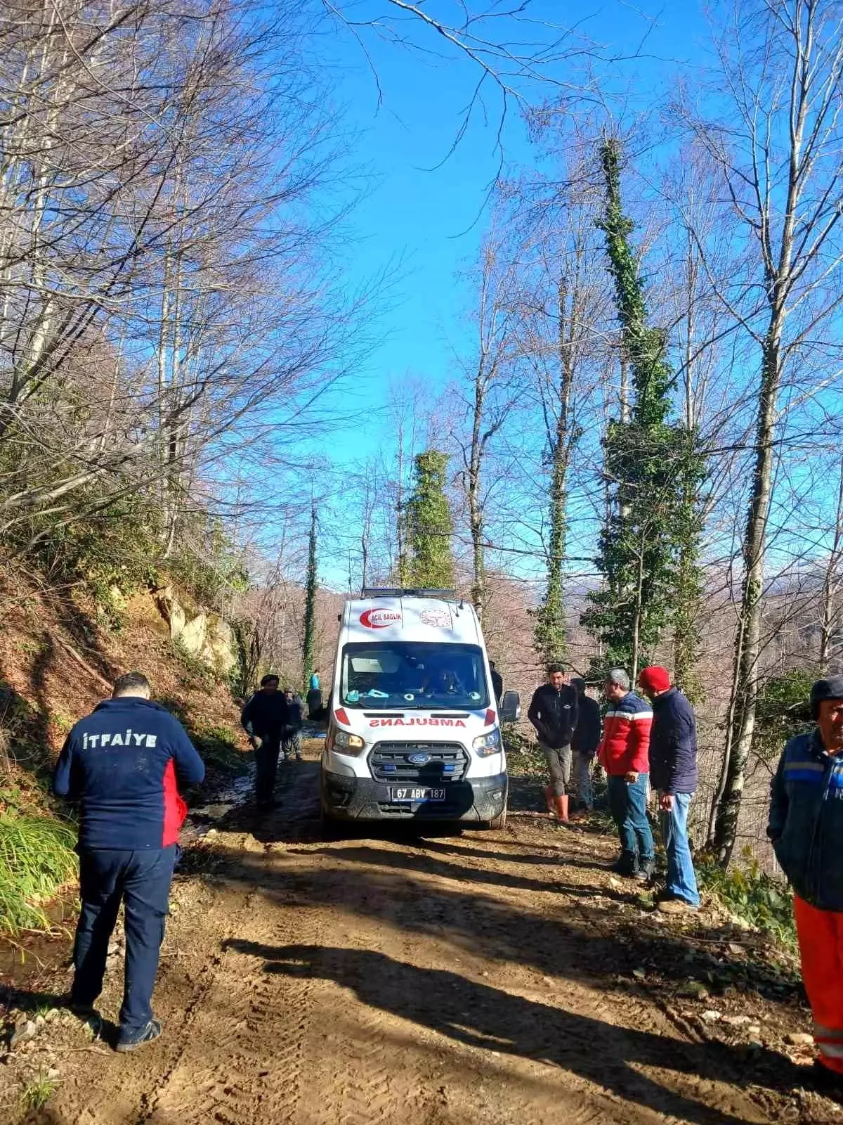 Zonguldak’ta Orman İşçisine Tomruk Devrildi, Yaralandı