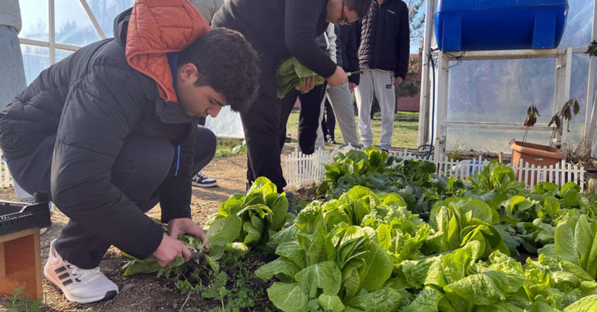 Tekirdağ’da lise öğrencileri okul bahçesinde çiftçiliği öğreniyor